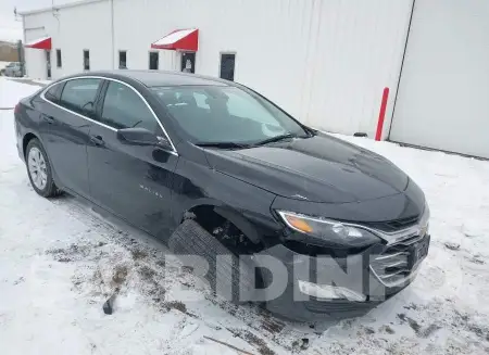 1G1ZD5ST7PF166175
