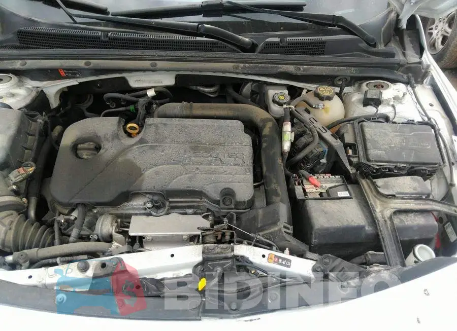 1G1ZD5ST2KF206381 Photo# 10