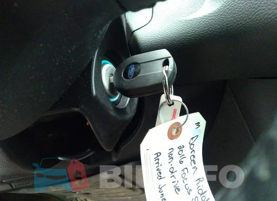 1FADP3KE5GL209868 Photo# 11
