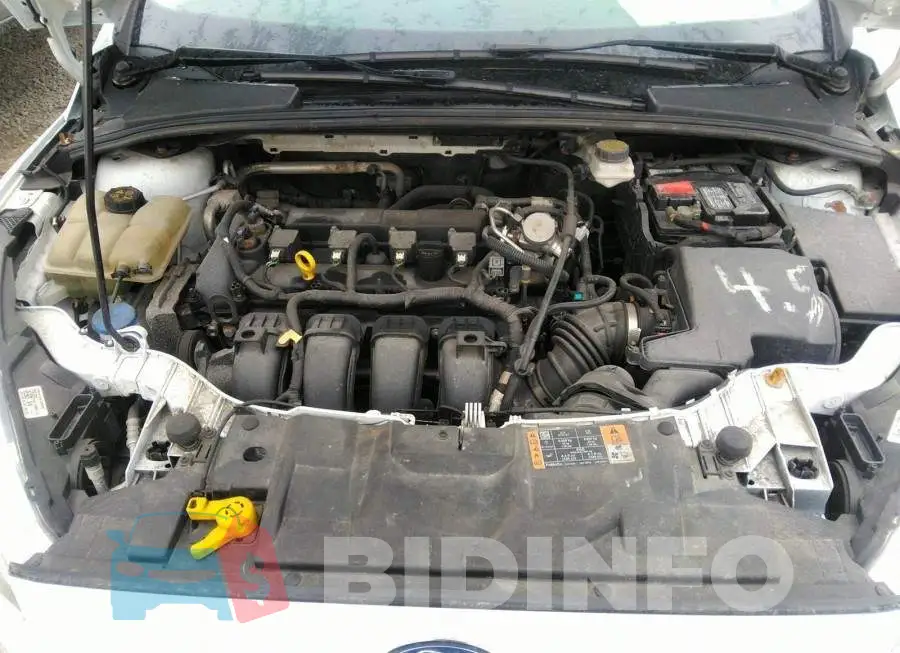 1FADP3F22JL248246 Photo# 10