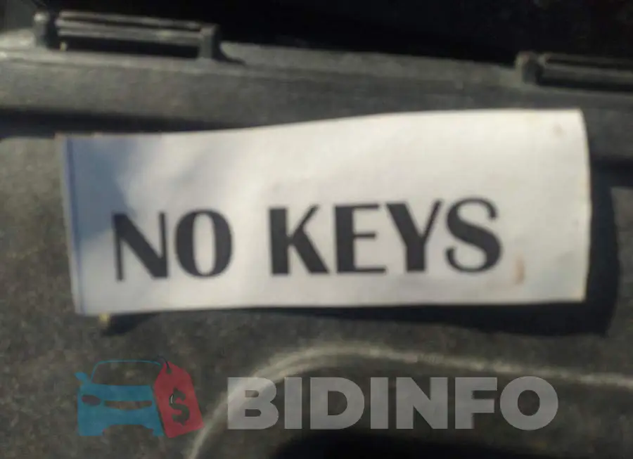 LRBFX1SA4KD144159 Photo# 11