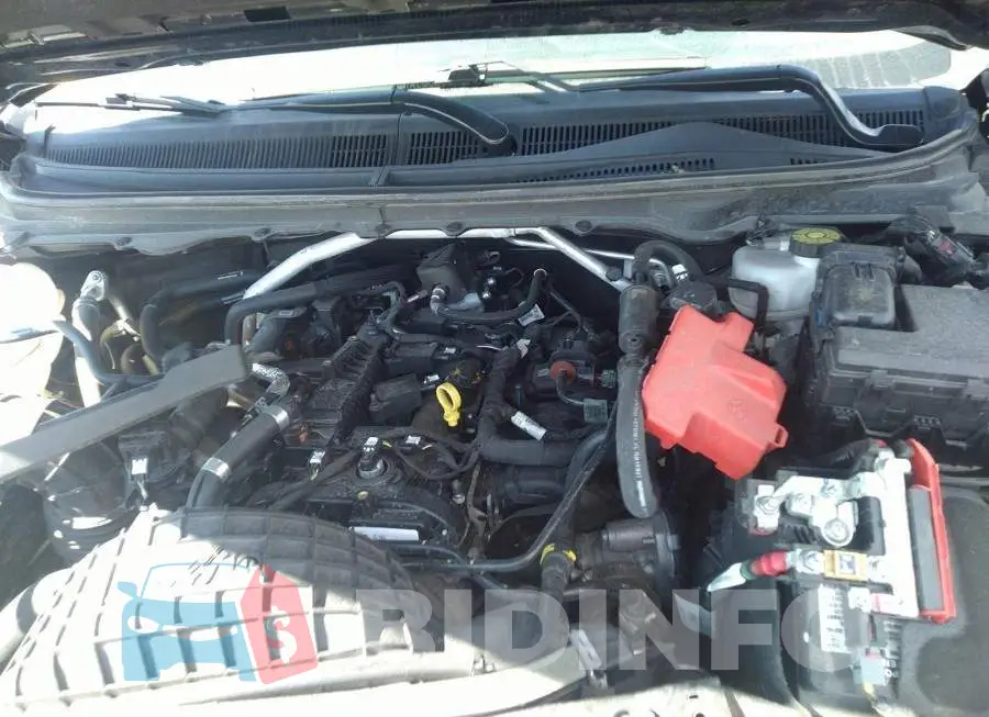 1FTER4FH5MLD59252 Photo# 10