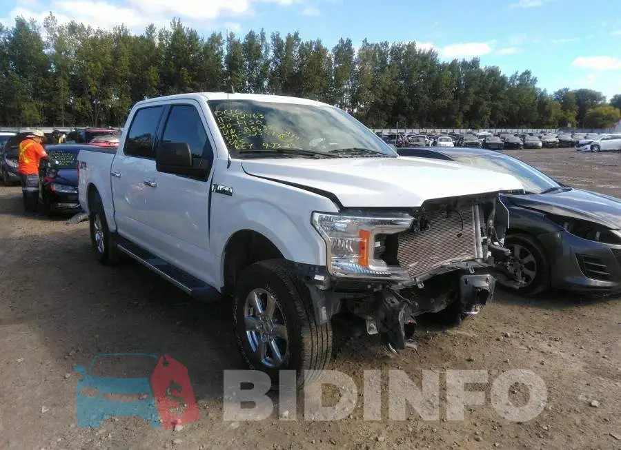 1FTEW1E54LFA86395 Photo# 1