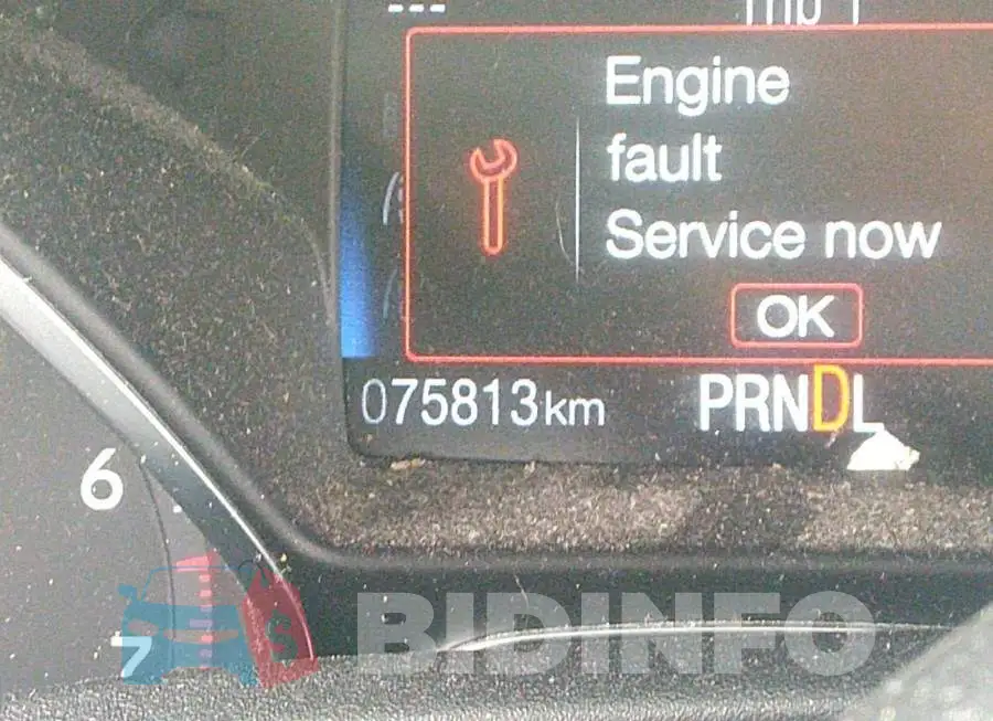 1FADP3F25FL309306 Photo# 7