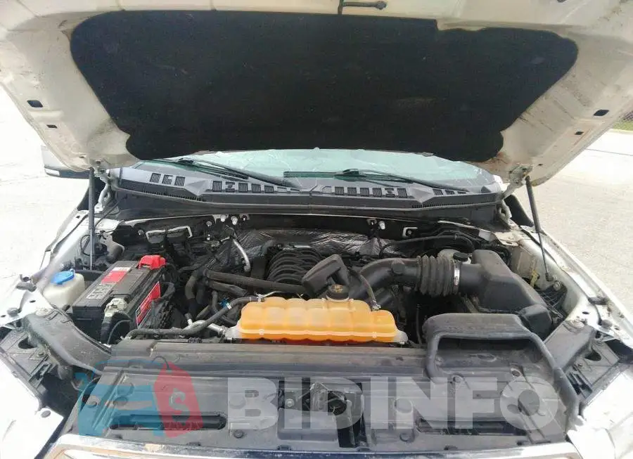 1FTEW1EF5GFB15529 Photo# 10