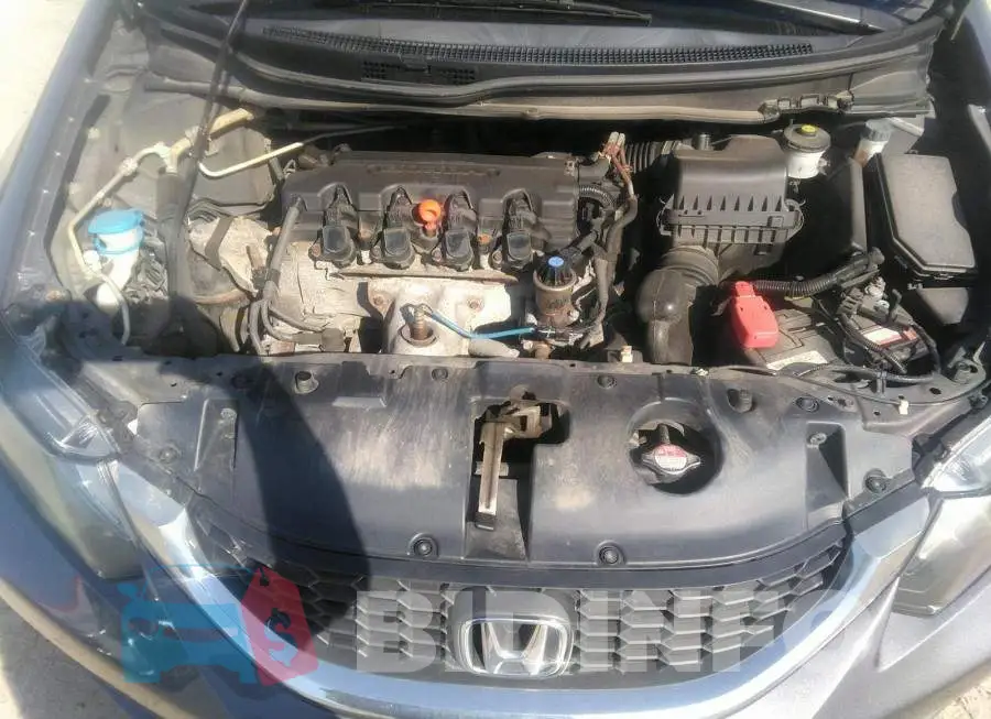 2HGFB2E46FH024014 Photo# 10