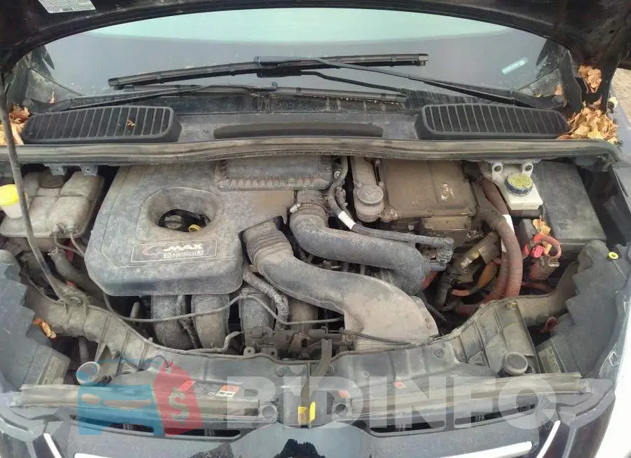 1FADP5CU2FL123353 Photo# 10