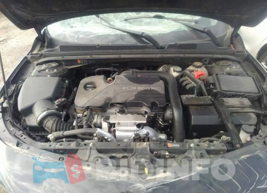 1G1ZE5ST5HF155786 Photo# 10
