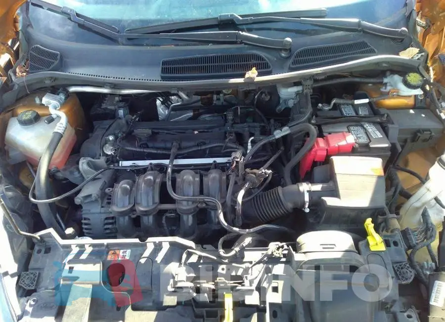 3FADP4EJ1GM113202 Photo# 10