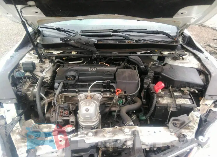 19UUB1F37GA800559 Photo# 10