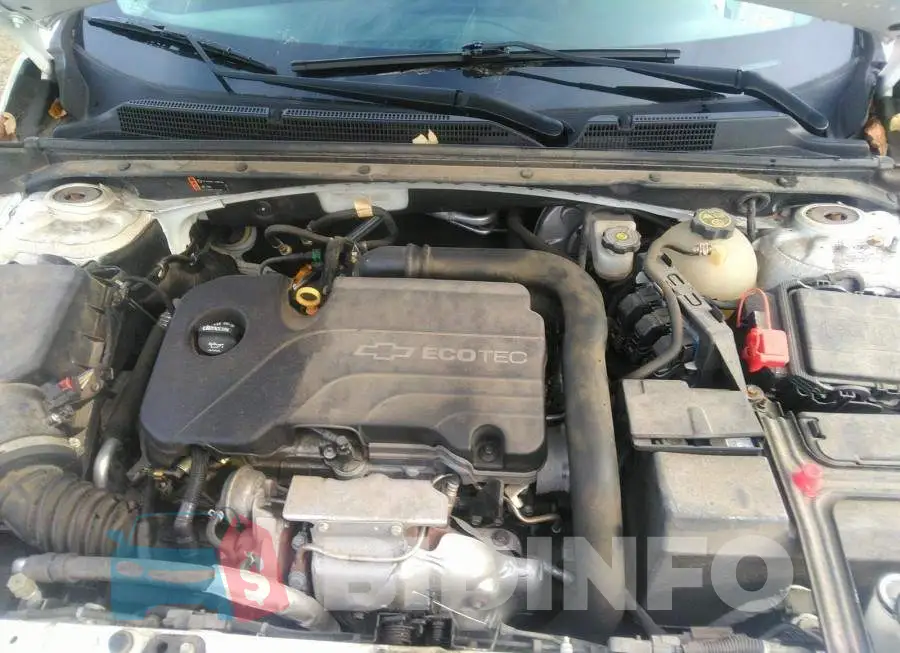 1G1ZD5ST5JF102501 Photo# 10