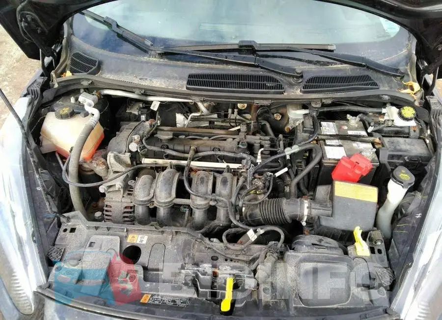 3FADP4EJ3HM117947 Photo# 10