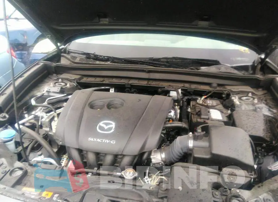 3MVDMBCL9NM417921 Photo# 10