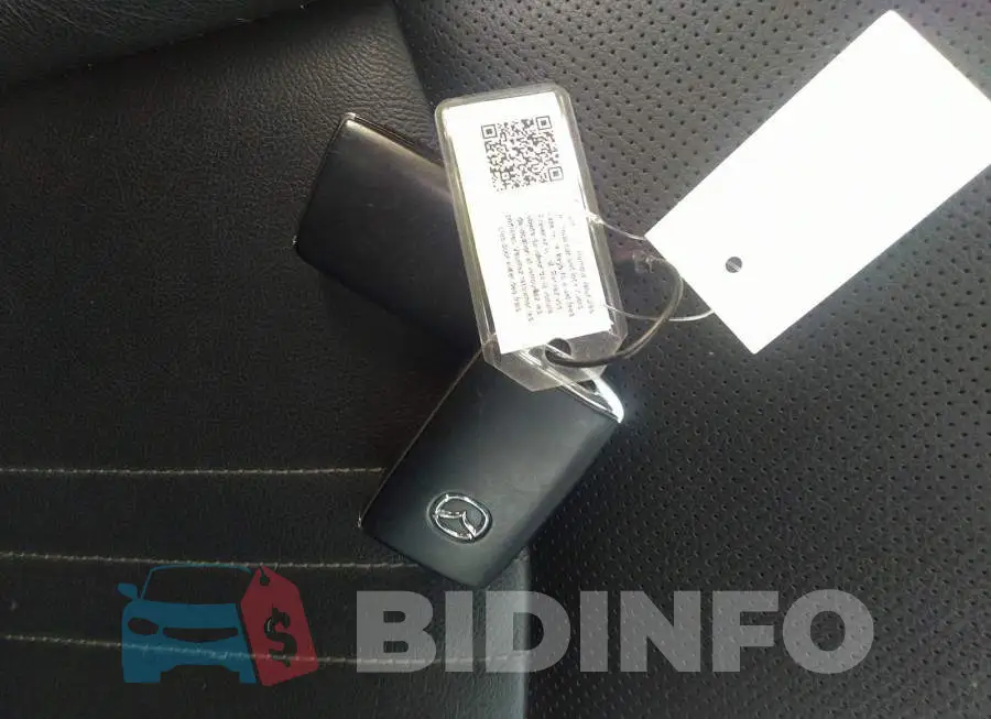 JM1DKFD75M1512245 Photo# 11