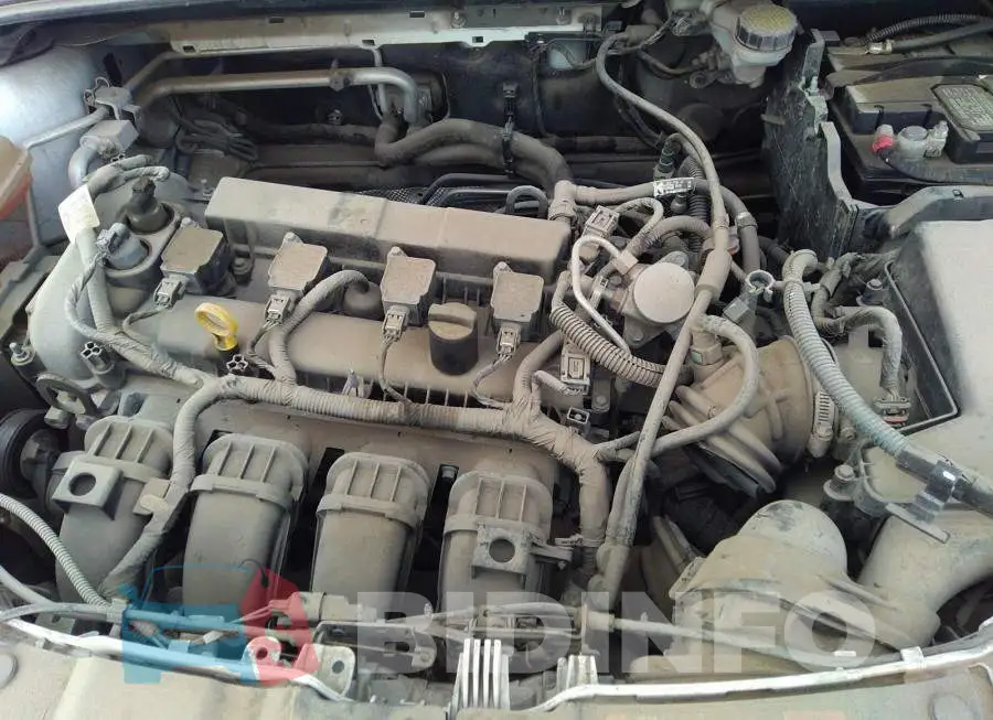 1FADP3F21GL400462 Photo# 6