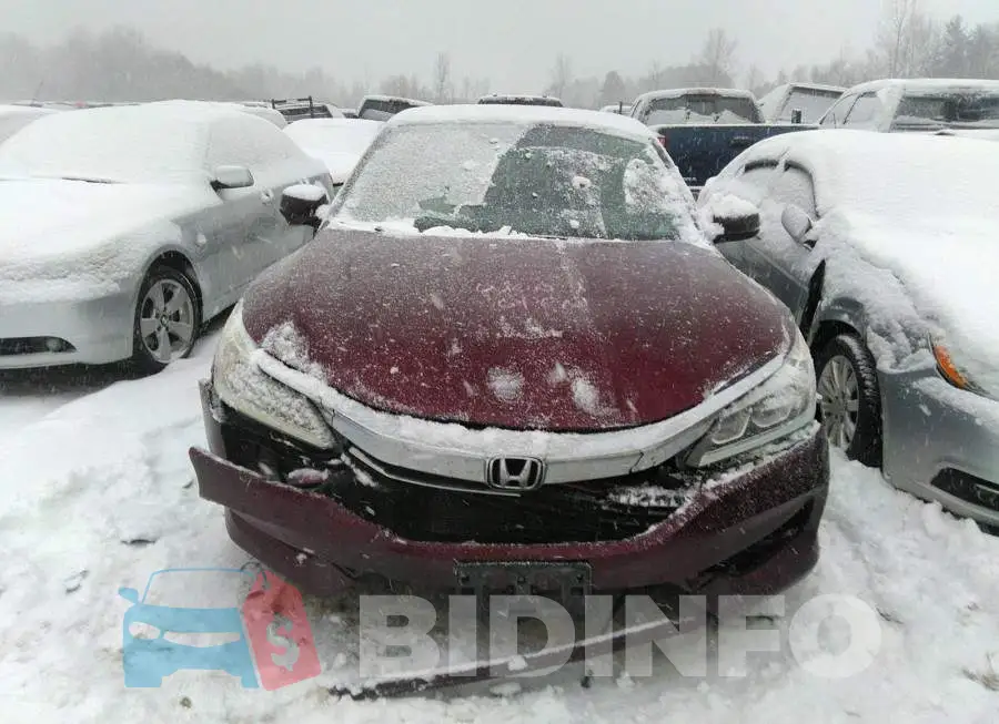 1HGCR2F51GA802774 Photo# 6