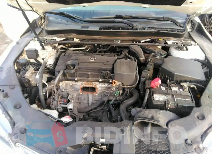19UUB1F55GA800626 Photo# 10