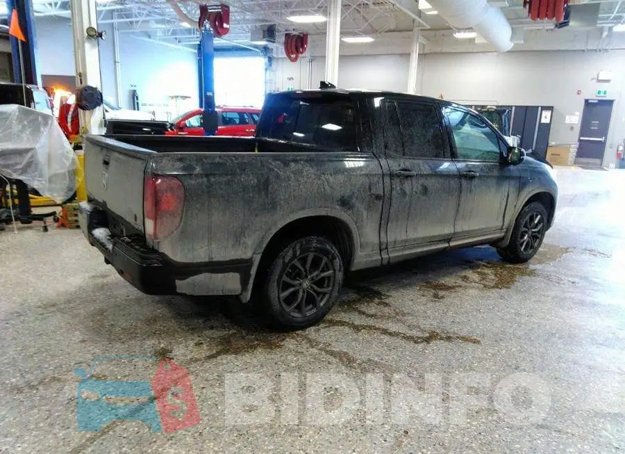 5FPYK3F82HB504176 Photo# 4