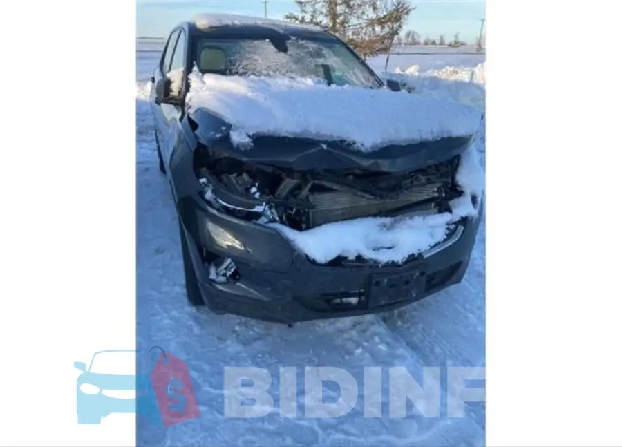 2GNAXSEVXK6141417 Photo# 6