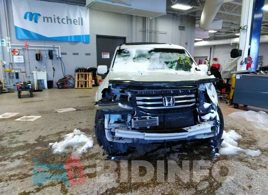 5FNYF4H9XFB501774 Photo# 6