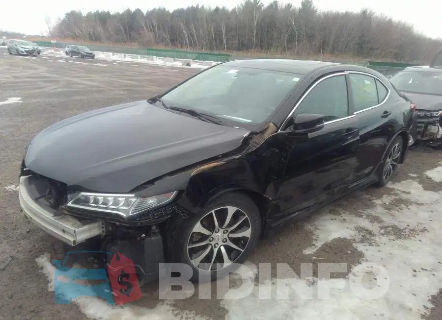 19UUB1F34FA801019 Photo# 2