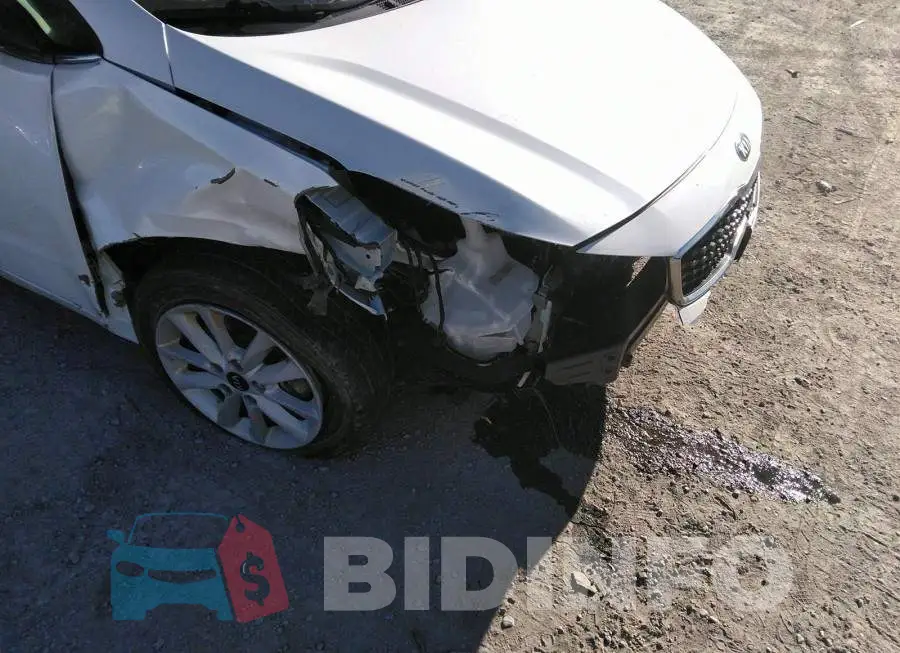 3KPFL4A89HE072234 Photo# 6