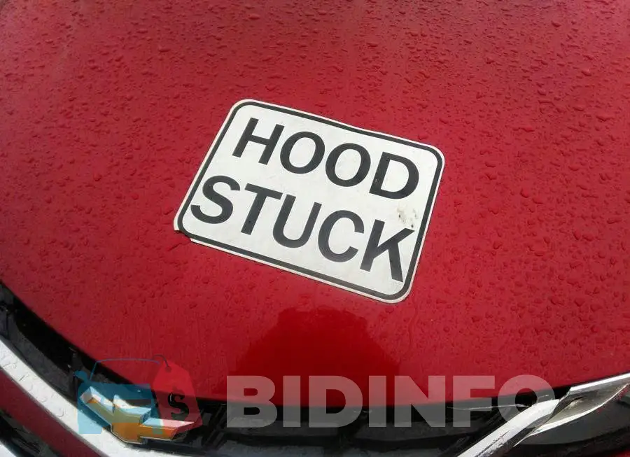 3G1BF6SM3HS518157 Photo# 10