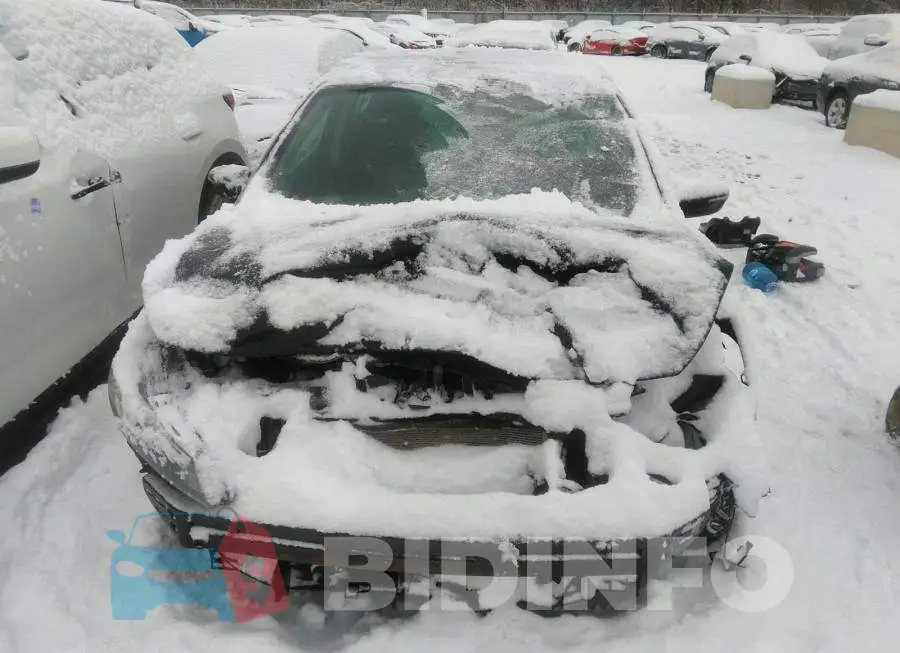 3KPFL4A89HE135638 Photo# 10