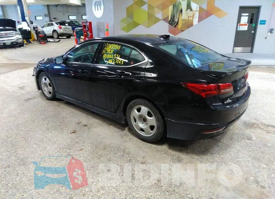 19UUB3F5XFA802351 Photo# 3