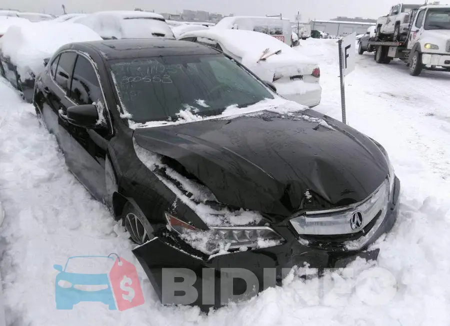 19UUB3F33FA800553 Photo# 1