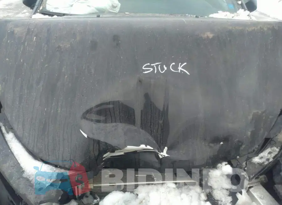 1C3CDFBB0FD102245 Photo# 10