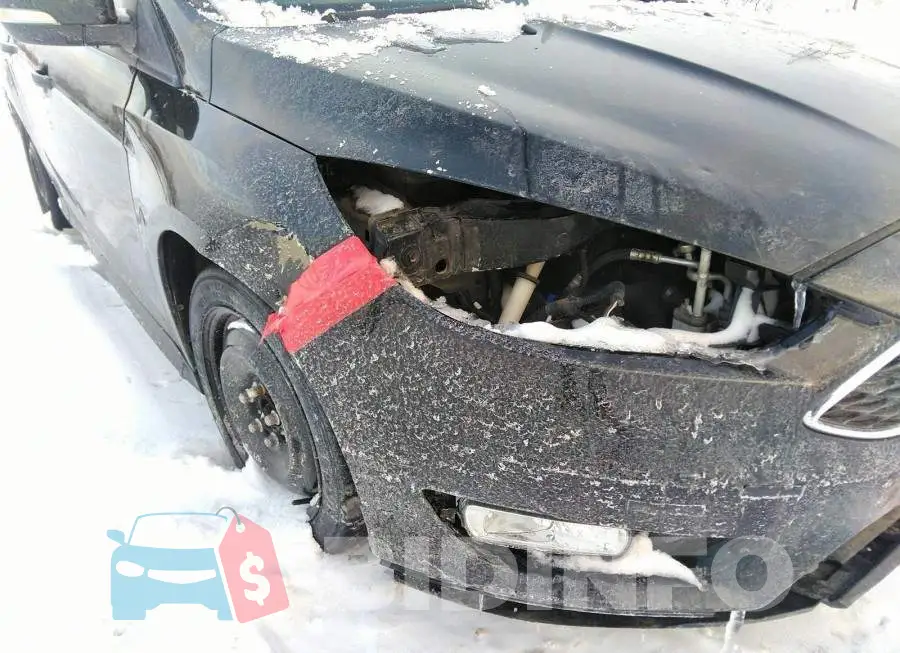 1FADP3F20FL250939 Photo# 6