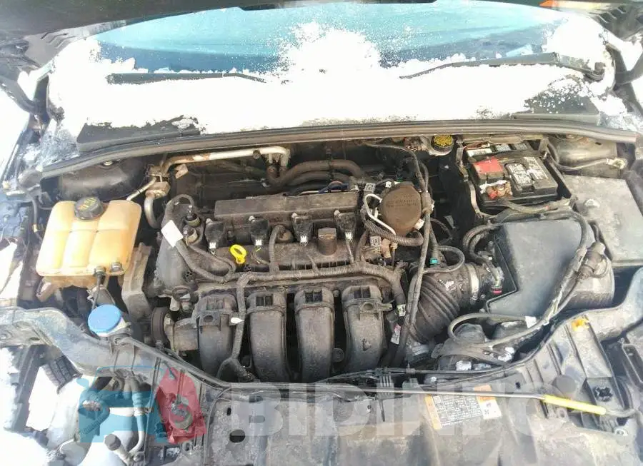 1FADP3F20FL250939 Photo# 10