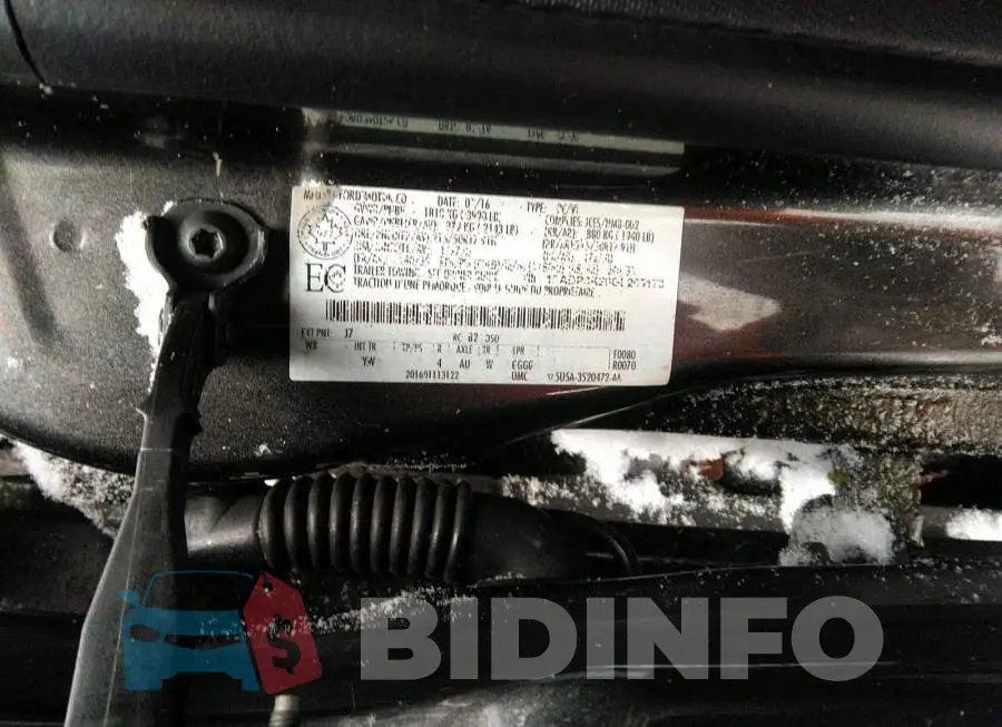1FADP3K20GL265173 Photo# 9