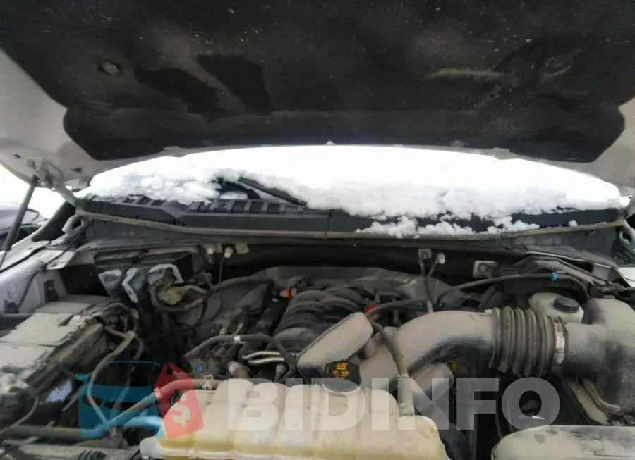 1FTEW1E56KFB51679 Photo# 10