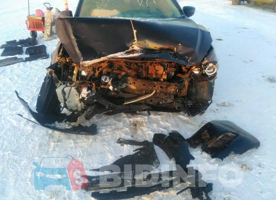 JM1BN1V72J1171169 Photo# 6