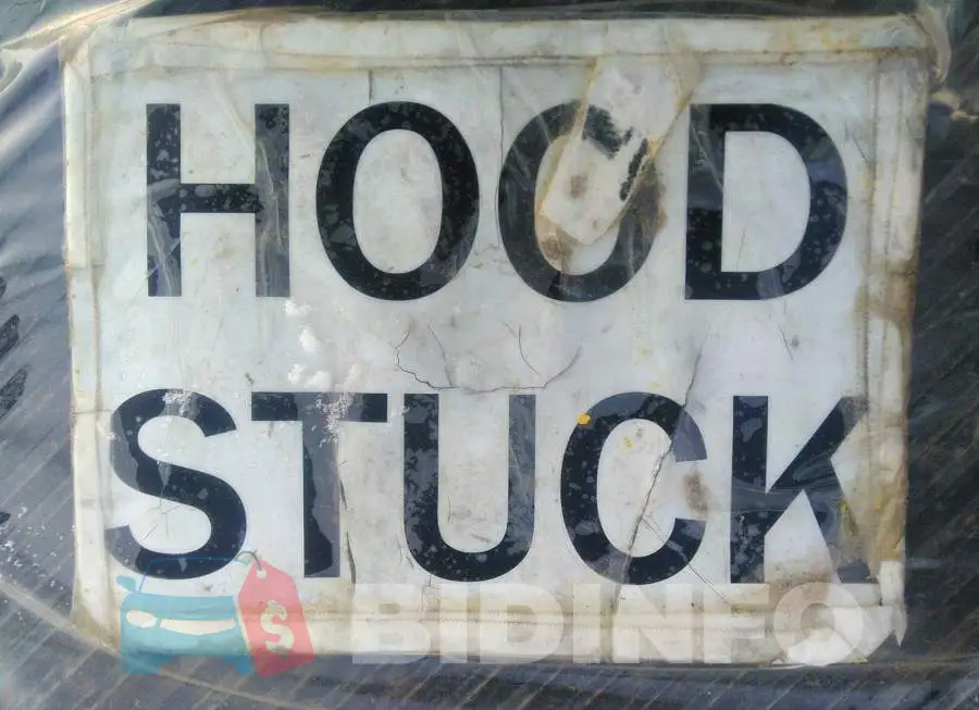 5YFBPRBE7LP076830 Photo# 10