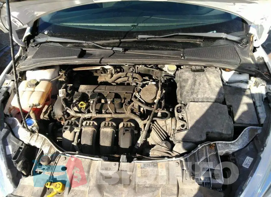 1FADP3E24FL235605 Photo# 10