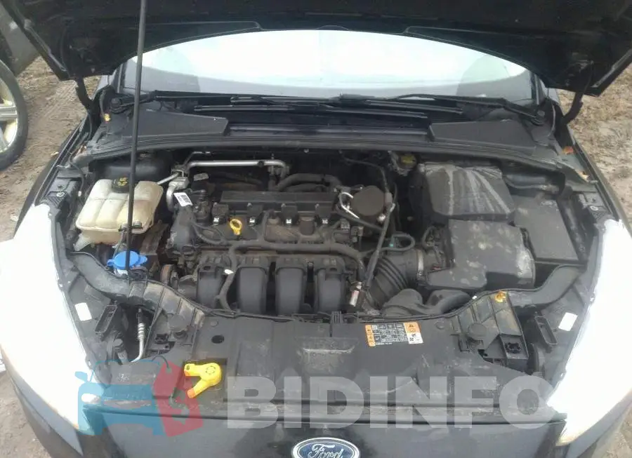 1FADP3K20FL265138 Photo# 10