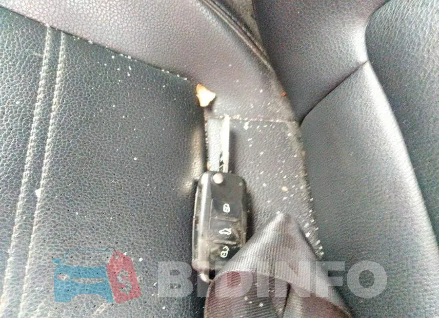 1VWBS7A31FC007712 Photo# 7