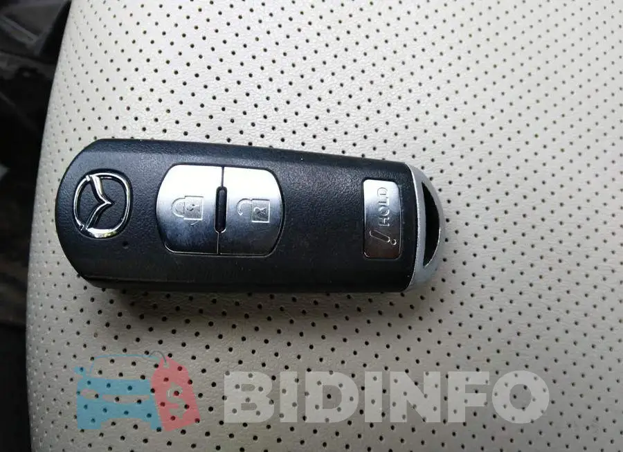 JM1DKFD70L1461638 Photo# 11