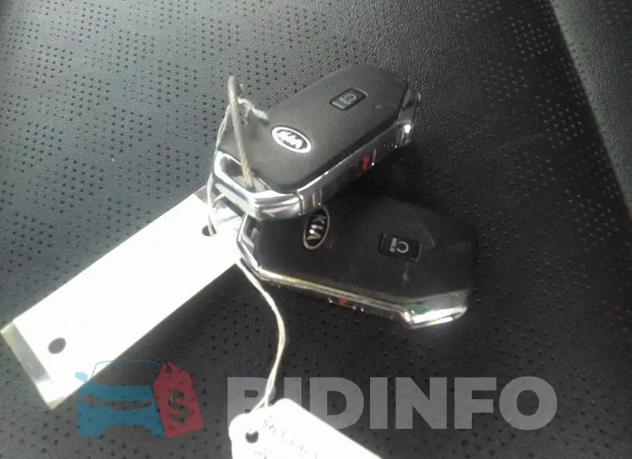 KNDEUCAA5M7229225 Photo# 11