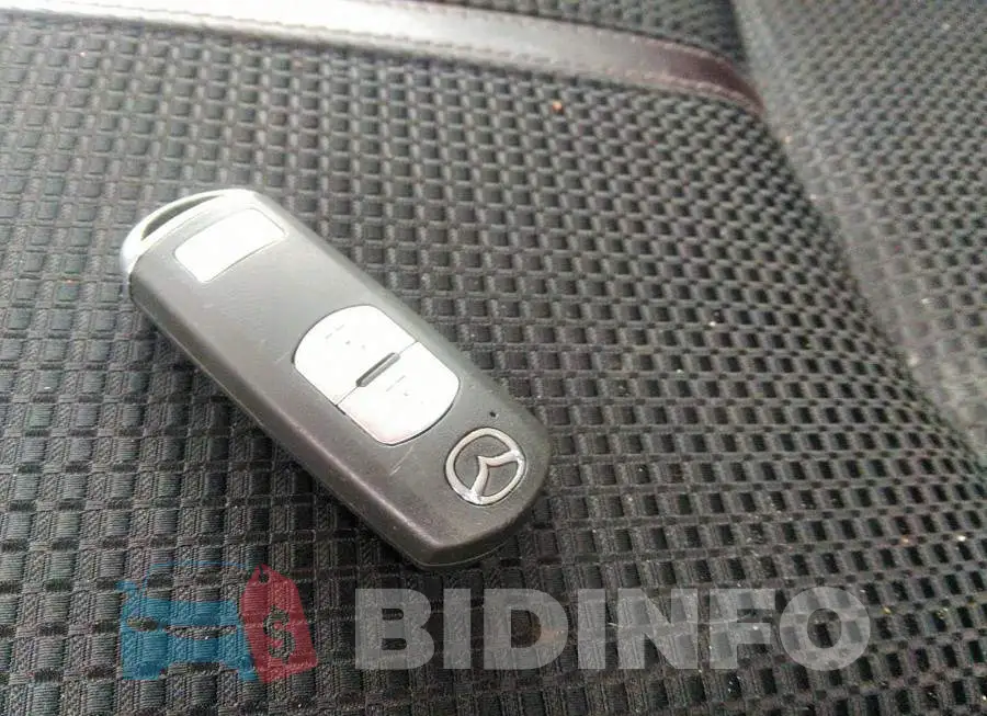 JM1BN1L72J1187598 Photo# 11