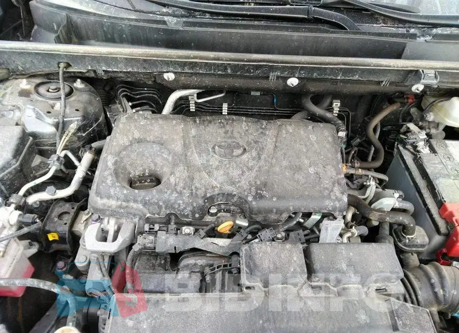 2T3B1RFV4MC206888 Photo# 10