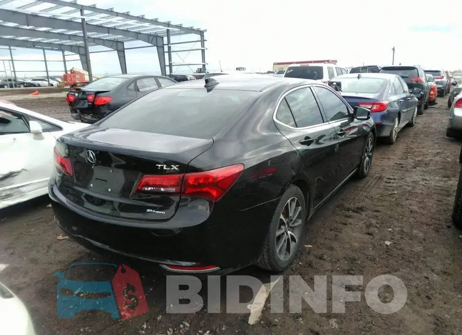 19UUB3F58FA803613 Photo# 4