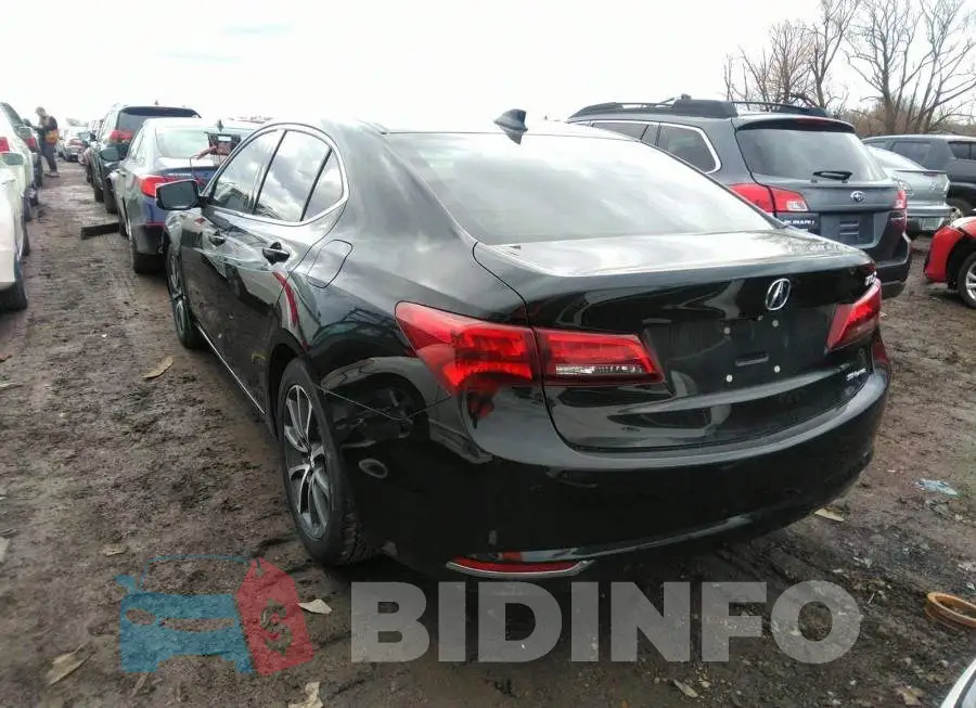 19UUB3F58FA803613 Photo# 3