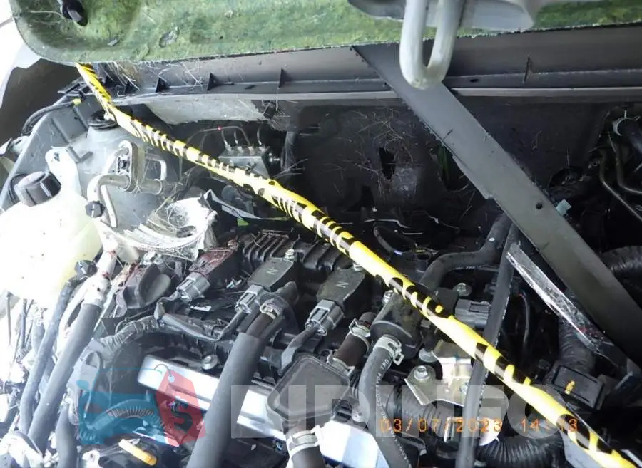 3N1CP5CV1NL531041 Photo# 9