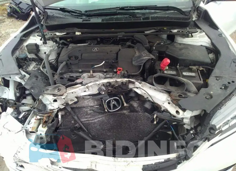 19UUB1F55HA800644 Photo# 10