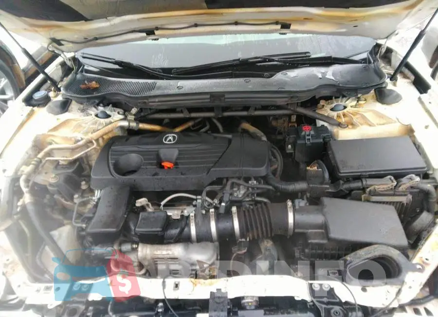 19UUB6F43MA800981 Photo# 10