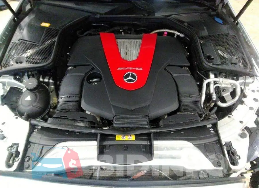 55SWF6EB0GU163800 Photo# 10